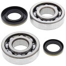 ALL BALLS Crank Bearing Kit RM250 03-04