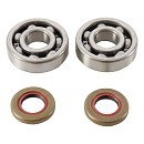 HOT ROD Crankshaft Bear Kit SX65 03-12