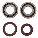 HOT ROD Crankshaft Bear Kit SXF450 13-15