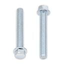 BOLT Hex Head Flange Bolt M6x45 (x10)