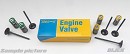 AOKI Intake Valve + Spring YZF450 03-09 STEEL (set of 2 pieces)