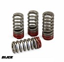 PRO CIRCUIT Valve Spring Set CR250F 10-15
