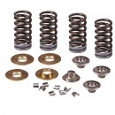 PRO CIRCUIT Valve Spring Kit KXF450 06-18