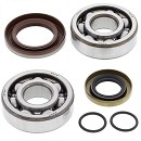 All Balls Krukaslager / Keerringset SX65 09-25 / TC65 17-25 / MC65 21-25